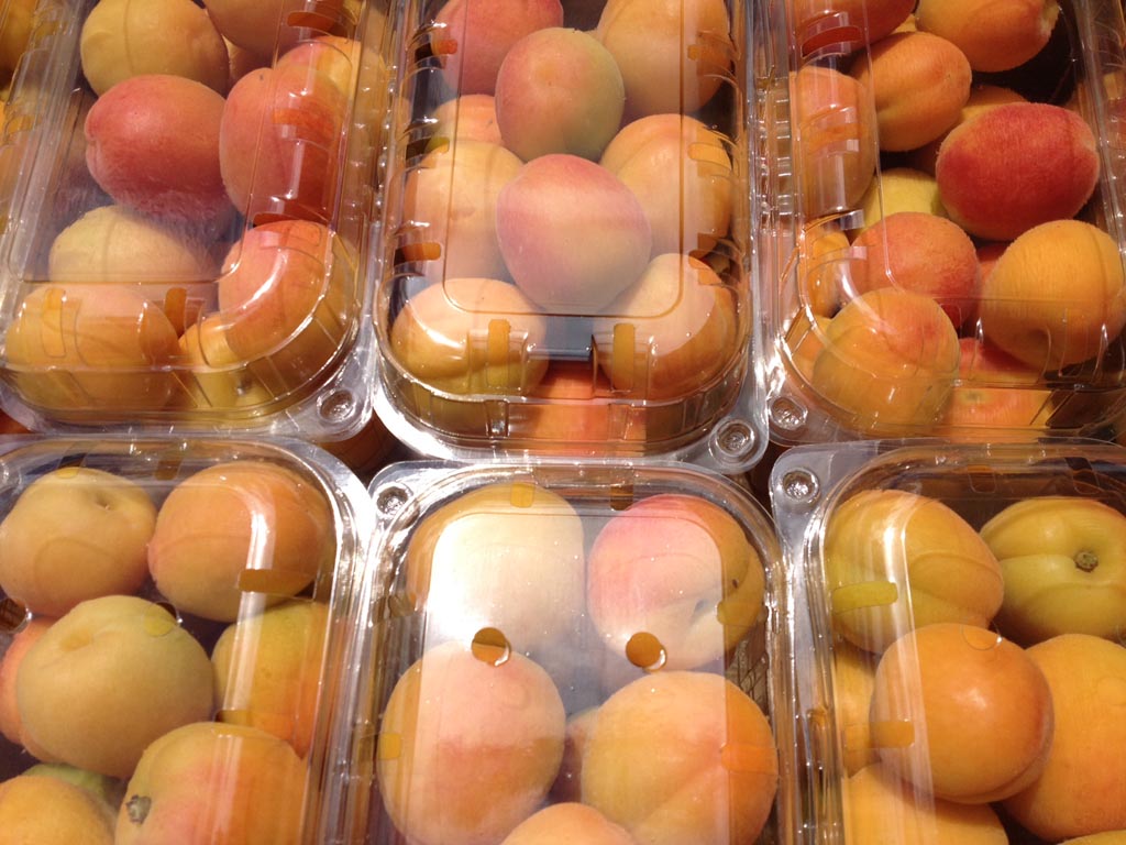 Apricotes